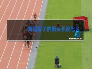 舞蹈扇子的飘头长度怎么选