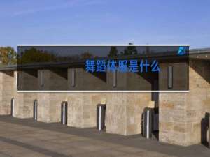 舞蹈体服是什么