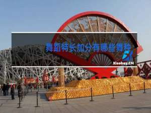 舞蹈特长加分有哪些舞种