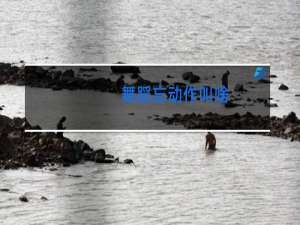 舞蹈忘动作叫啥