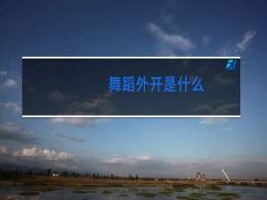 舞蹈外开是什么