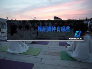 舞蹈舞种有哪些