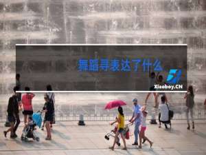 舞蹈寻表达了什么