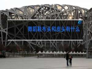 舞蹈鞋布头和皮头有什么区别