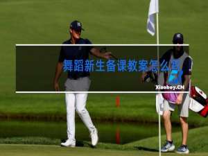 舞蹈新生备课教案怎么写