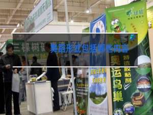 舞蹈形式包括哪些内容