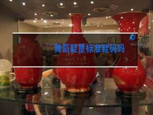 舞蹈鞋是标准鞋码吗