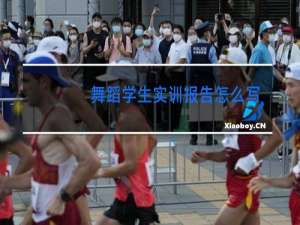 舞蹈学生实训报告怎么写