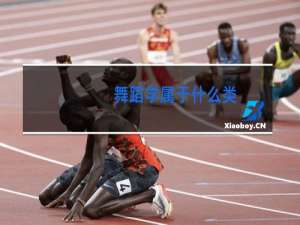 舞蹈学属于什么类