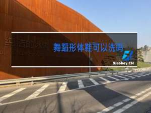 舞蹈形体鞋可以洗吗