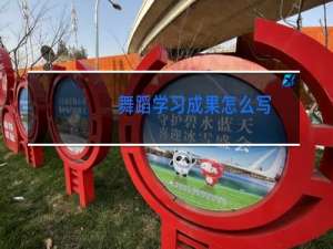 舞蹈学习成果怎么写