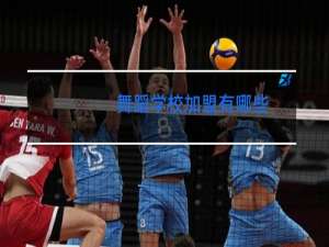 舞蹈学校加盟有哪些