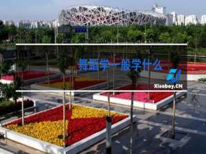 舞蹈学一般学什么