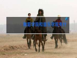 舞蹈学院和音乐学院有什么区别