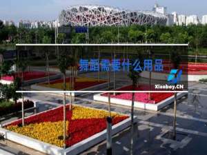 舞蹈需要什么用品