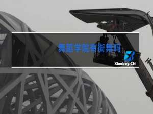 舞蹈学院有街舞吗