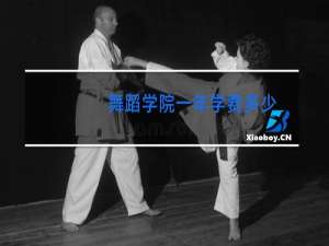 舞蹈学院一年学费多少