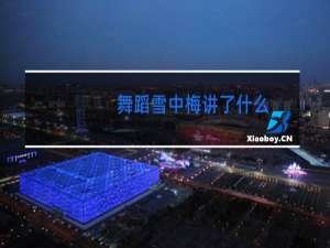 舞蹈雪中梅讲了什么