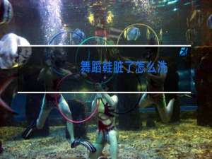 舞蹈鞋脏了怎么洗