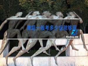 舞蹈一般考多少级就够用了