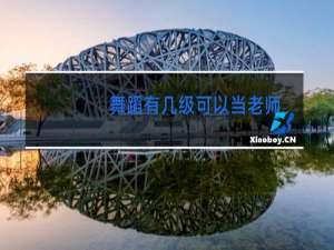 舞蹈有几级可以当老师