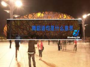 舞蹈语句是什么意思
