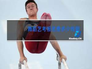舞蹈艺考报名费多少钱啊