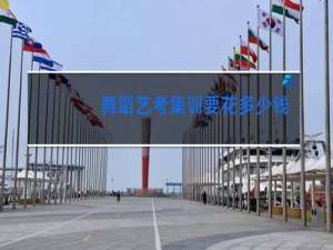 舞蹈艺考集训要花多少钱