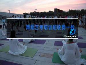 舞蹈艺考培训班收费一般多少