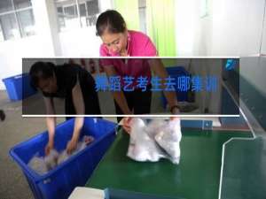 舞蹈艺考生去哪集训