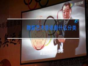 舞蹈艺术是依据什么分类的