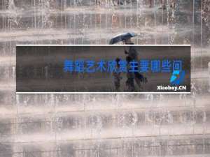 舞蹈艺术欣赏主要哪些问题
