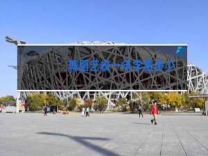 舞蹈艺校一年学费多少