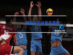 舞蹈中的步数有哪些