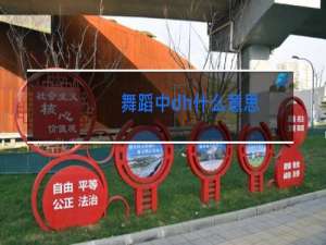 舞蹈中dh什么意思