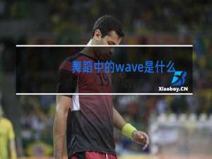 舞蹈中的wave是什么