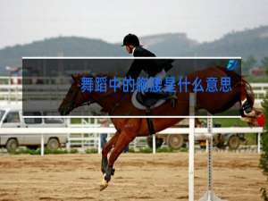 舞蹈中的胸腰是什么意思