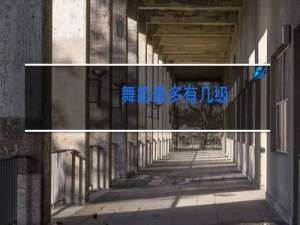 舞蹈最多有几级