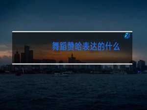 舞蹈赞哈表达的什么