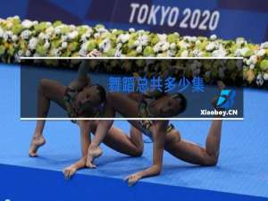 舞蹈总共多少集