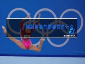 舞蹈种类的重要性是什么