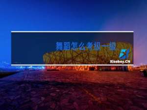 舞蹈怎么考级一级