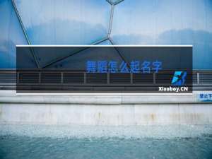 舞蹈怎么起名字