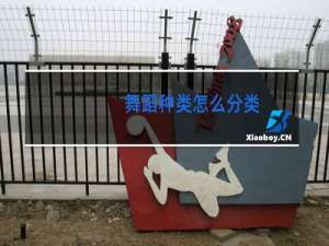 舞蹈种类怎么分类