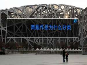 舞蹈作品为什么分类