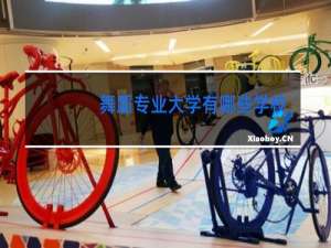 舞蹈专业大学有哪些学校