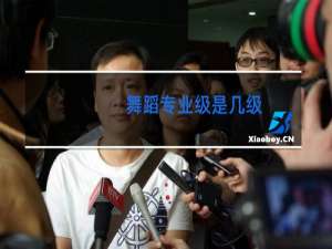 舞蹈专业级是几级