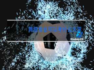 舞蹈专业可以考什么大学