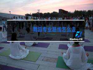 舞蹈专业路线怎么走