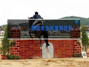 舞蹈专业能报哪些系